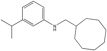 N-(cyclooctylmethyl)-3-isopropylbenzenamine Struktur