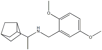 (1-{bicyclo[2.2.1]heptan-2-yl}ethyl)[(2,5-dimethoxyphenyl)methyl]amine Struktur