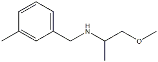 (1-methoxypropan-2-yl)[(3-methylphenyl)methyl]amine Struktur