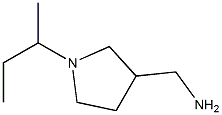 (1-sec-butylpyrrolidin-3-yl)methylamine Struktur