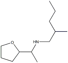 (2-methylpentyl)[1-(oxolan-2-yl)ethyl]amine Struktur