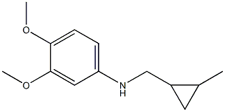 (3,4-dimethoxyphenyl)(2-methylcyclopropyl)methylamine Struktur