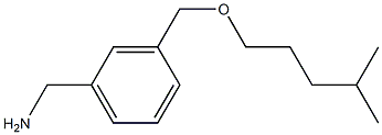 (3-{[(4-methylpentyl)oxy]methyl}phenyl)methanamine Struktur