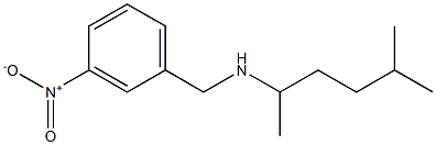 (5-methylhexan-2-yl)[(3-nitrophenyl)methyl]amine Struktur