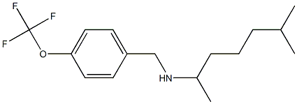 (6-methylheptan-2-yl)({[4-(trifluoromethoxy)phenyl]methyl})amine Struktur