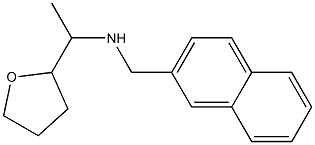 (naphthalen-2-ylmethyl)[1-(oxolan-2-yl)ethyl]amine Struktur