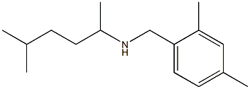 [(2,4-dimethylphenyl)methyl](5-methylhexan-2-yl)amine Struktur