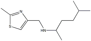 [(2-methyl-1,3-thiazol-4-yl)methyl](5-methylhexan-2-yl)amine Struktur