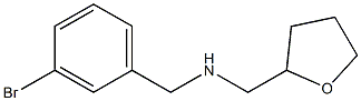 [(3-bromophenyl)methyl](oxolan-2-ylmethyl)amine Struktur