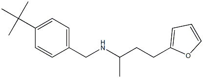 [(4-tert-butylphenyl)methyl][4-(furan-2-yl)butan-2-yl]amine Struktur