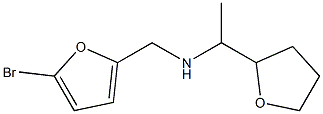 [(5-bromofuran-2-yl)methyl][1-(oxolan-2-yl)ethyl]amine Struktur