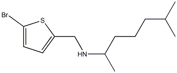 [(5-bromothiophen-2-yl)methyl](6-methylheptan-2-yl)amine Struktur