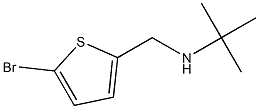 [(5-bromothiophen-2-yl)methyl](tert-butyl)amine Struktur