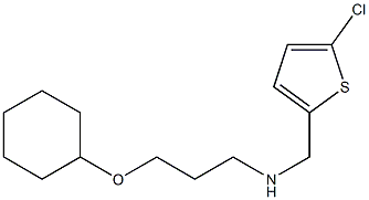 [(5-chlorothiophen-2-yl)methyl][3-(cyclohexyloxy)propyl]amine Struktur