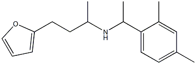 [1-(2,4-dimethylphenyl)ethyl][4-(furan-2-yl)butan-2-yl]amine Struktur