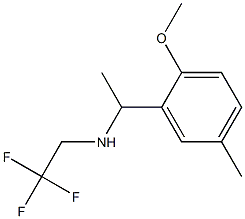 [1-(2-methoxy-5-methylphenyl)ethyl](2,2,2-trifluoroethyl)amine Struktur