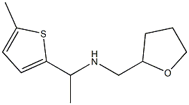 [1-(5-methylthiophen-2-yl)ethyl](oxolan-2-ylmethyl)amine Struktur