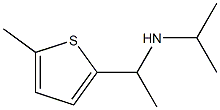 [1-(5-methylthiophen-2-yl)ethyl](propan-2-yl)amine Struktur