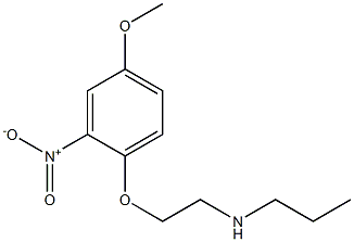 [2-(4-methoxy-2-nitrophenoxy)ethyl](propyl)amine Struktur