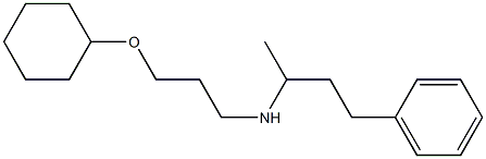 [3-(cyclohexyloxy)propyl](4-phenylbutan-2-yl)amine Struktur