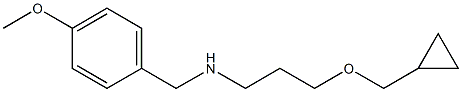 [3-(cyclopropylmethoxy)propyl][(4-methoxyphenyl)methyl]amine Struktur