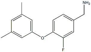 [4-(3,5-dimethylphenoxy)-3-fluorophenyl]methanamine Struktur