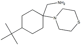 [4-tert-butyl-1-(thiomorpholin-4-yl)cyclohexyl]methanamine Struktur