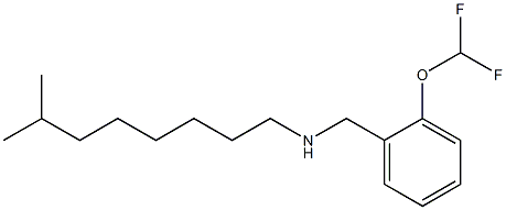 {[2-(difluoromethoxy)phenyl]methyl}(7-methyloctyl)amine Struktur