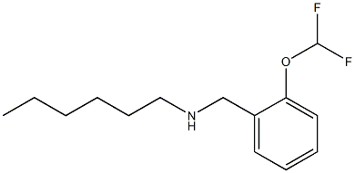 {[2-(difluoromethoxy)phenyl]methyl}(hexyl)amine Struktur