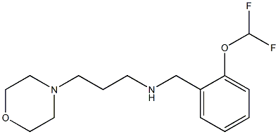 {[2-(difluoromethoxy)phenyl]methyl}[3-(morpholin-4-yl)propyl]amine Struktur