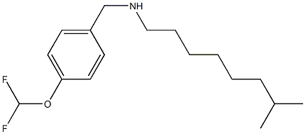 {[4-(difluoromethoxy)phenyl]methyl}(7-methyloctyl)amine Struktur