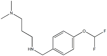 {[4-(difluoromethoxy)phenyl]methyl}[3-(dimethylamino)propyl]amine Struktur