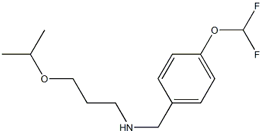 {[4-(difluoromethoxy)phenyl]methyl}[3-(propan-2-yloxy)propyl]amine Struktur