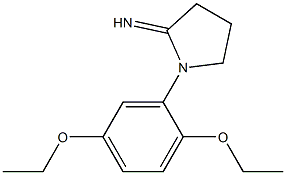 1-(2,5-diethoxyphenyl)pyrrolidin-2-imine Struktur