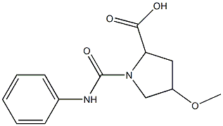 1-(anilinocarbonyl)-4-methoxypyrrolidine-2-carboxylic acid Struktur