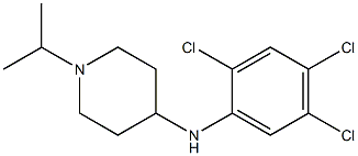 1-(propan-2-yl)-N-(2,4,5-trichlorophenyl)piperidin-4-amine Struktur