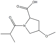 1-isobutyryl-4-methoxypyrrolidine-2-carboxylic acid Struktur