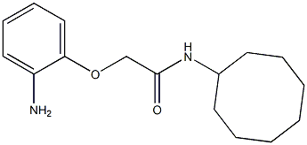 2-(2-aminophenoxy)-N-cyclooctylacetamide Struktur