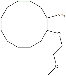 2-(2-methoxyethoxy)cyclododecan-1-amine Struktur