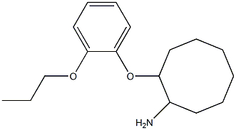 2-(2-propoxyphenoxy)cyclooctan-1-amine Struktur