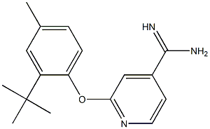 2-(2-tert-butyl-4-methylphenoxy)pyridine-4-carboximidamide Struktur