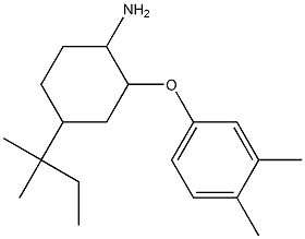 2-(3,4-dimethylphenoxy)-4-(2-methylbutan-2-yl)cyclohexan-1-amine Struktur