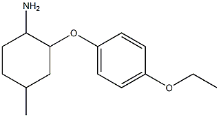 2-(4-ethoxyphenoxy)-4-methylcyclohexanamine Struktur