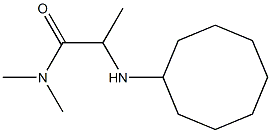 2-(cyclooctylamino)-N,N-dimethylpropanamide Struktur