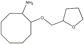 2-(oxolan-2-ylmethoxy)cyclooctan-1-amine Struktur