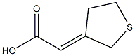 2-(thiolan-3-ylidene)acetic acid Struktur