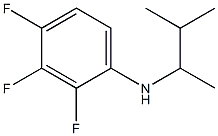 2,3,4-trifluoro-N-(3-methylbutan-2-yl)aniline Struktur