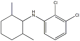 2,3-dichloro-N-(2,6-dimethylcyclohexyl)aniline Struktur