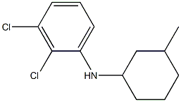 2,3-dichloro-N-(3-methylcyclohexyl)aniline Struktur