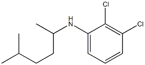 2,3-dichloro-N-(5-methylhexan-2-yl)aniline Struktur